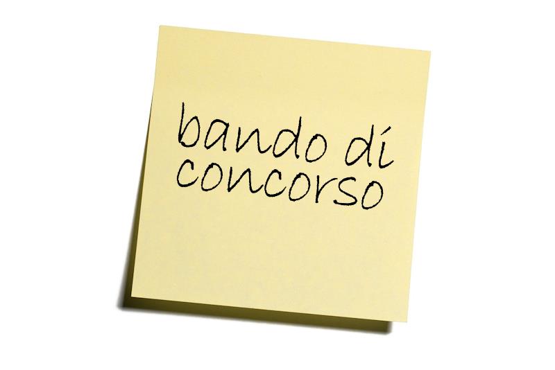 Avviso di selezione pubblica per project manager